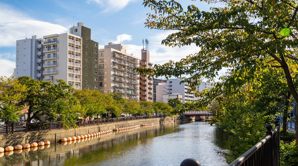 Yokohama showing a river or creek