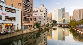 Kannai featuring a city, a river or creek and a sunset