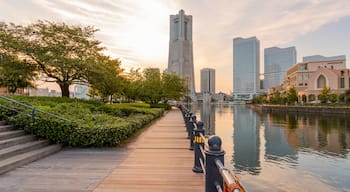 Sakuragichō featuring a river or creek, a high rise building and a sunset