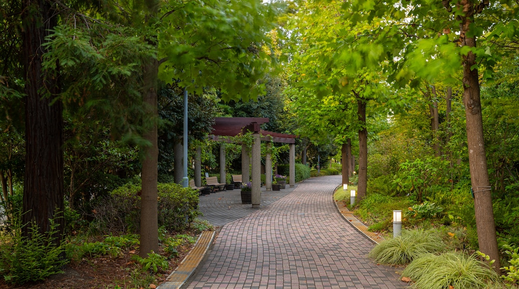 Kirin Beer Village which includes a park