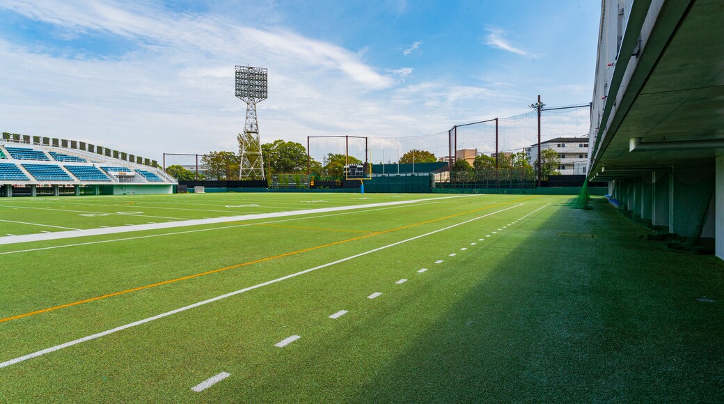 Kawasaki Stadium