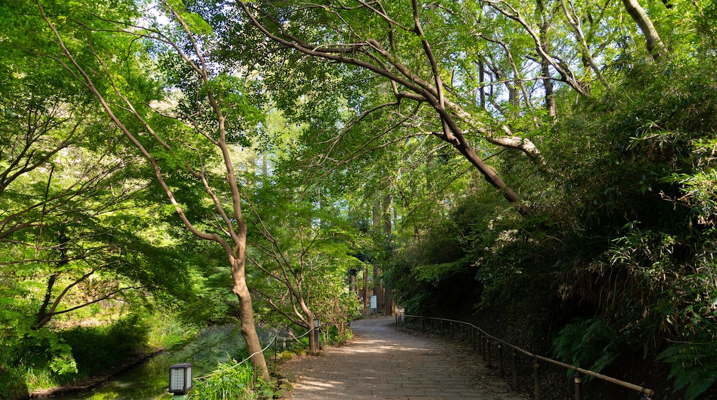 生田綠地公園