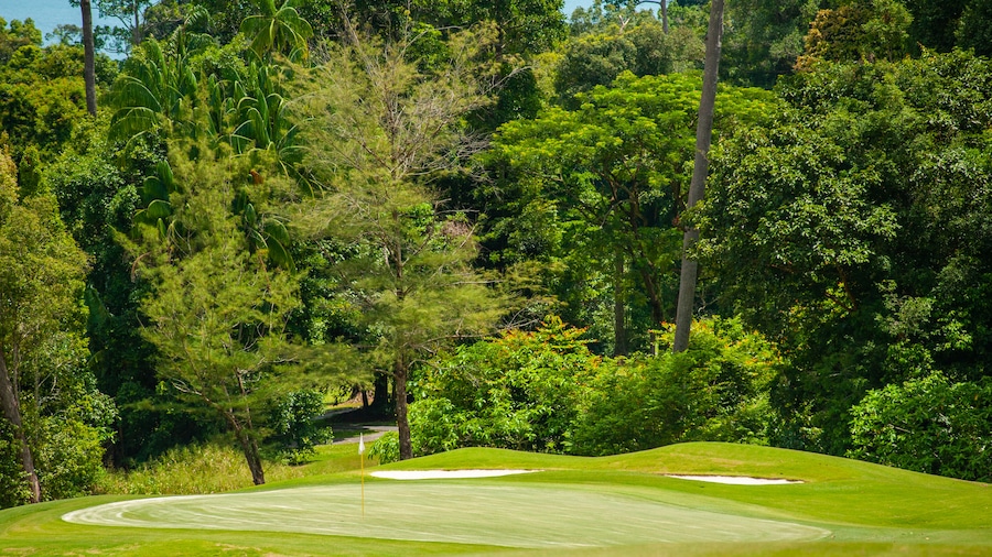 Kedah showing golf
