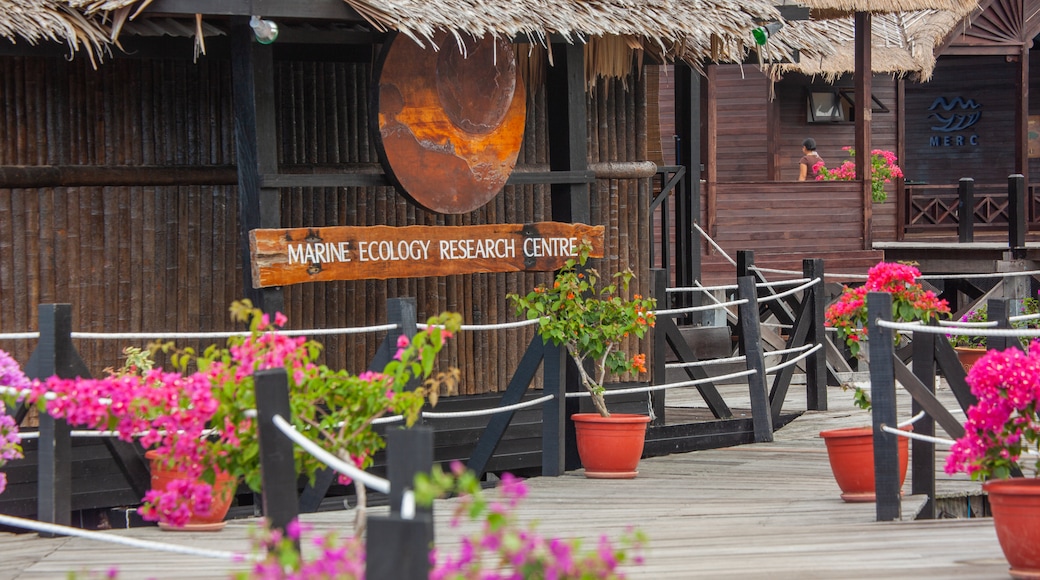 Tunku Abdul Rahman Park featuring flowers and signage