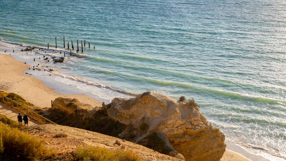 Port Willunga Beach which includes a sandy beach and general coastal views