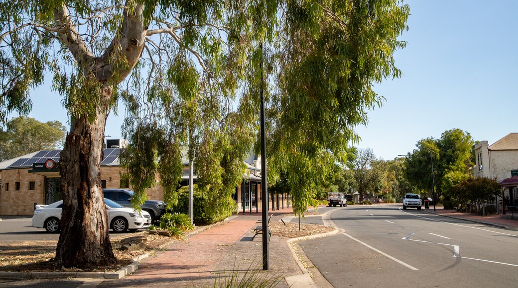 Old Noarlunga