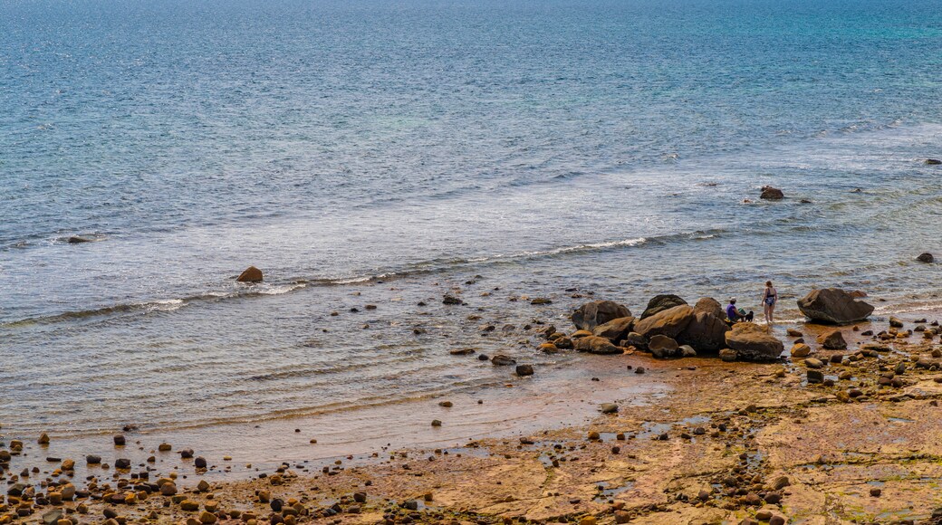 Hallett Cove