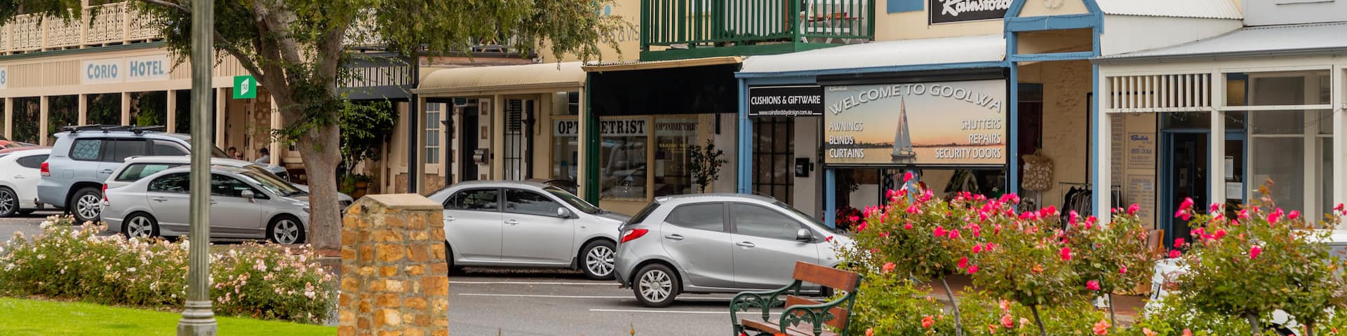 Goolwa featuring flowers, wildflowers and a small town or village