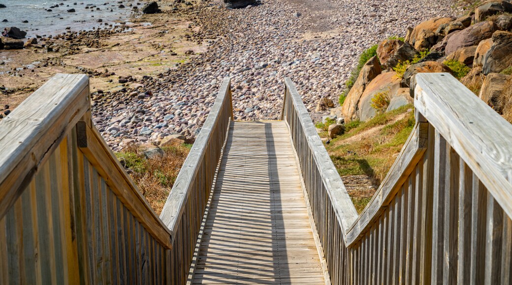 Hallett Cove