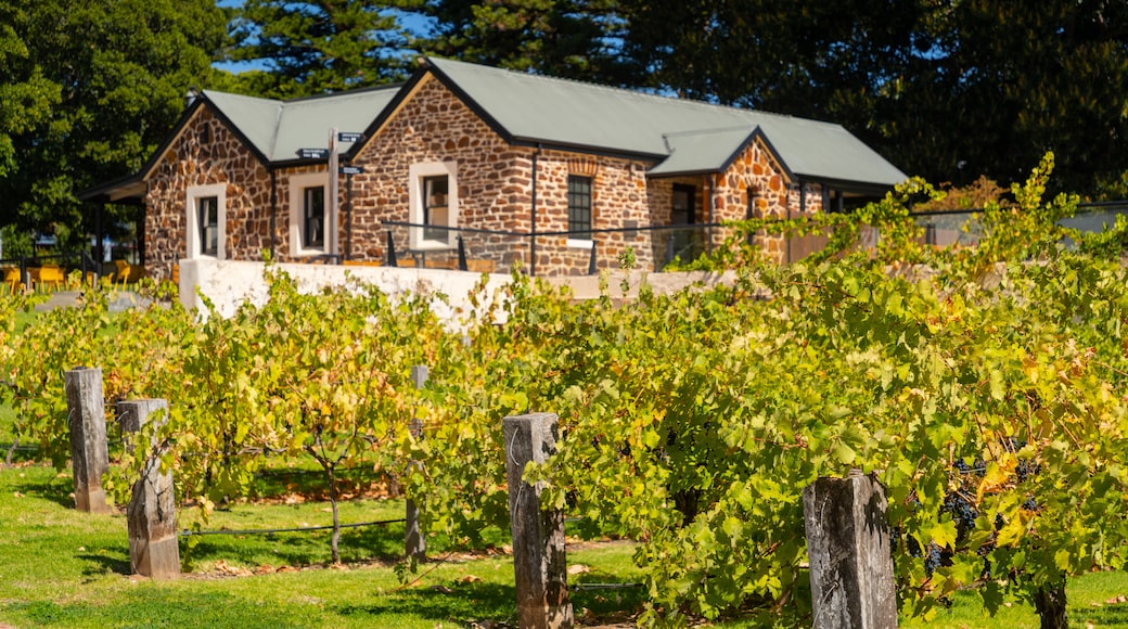 McLaren Vale