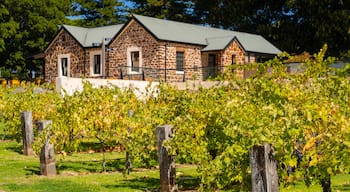 McLaren Vale featuring farmland