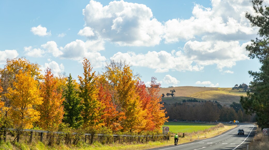 O\'connell which includes fall colors and tranquil scenes