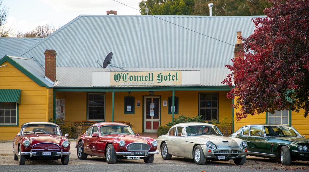 O'connell