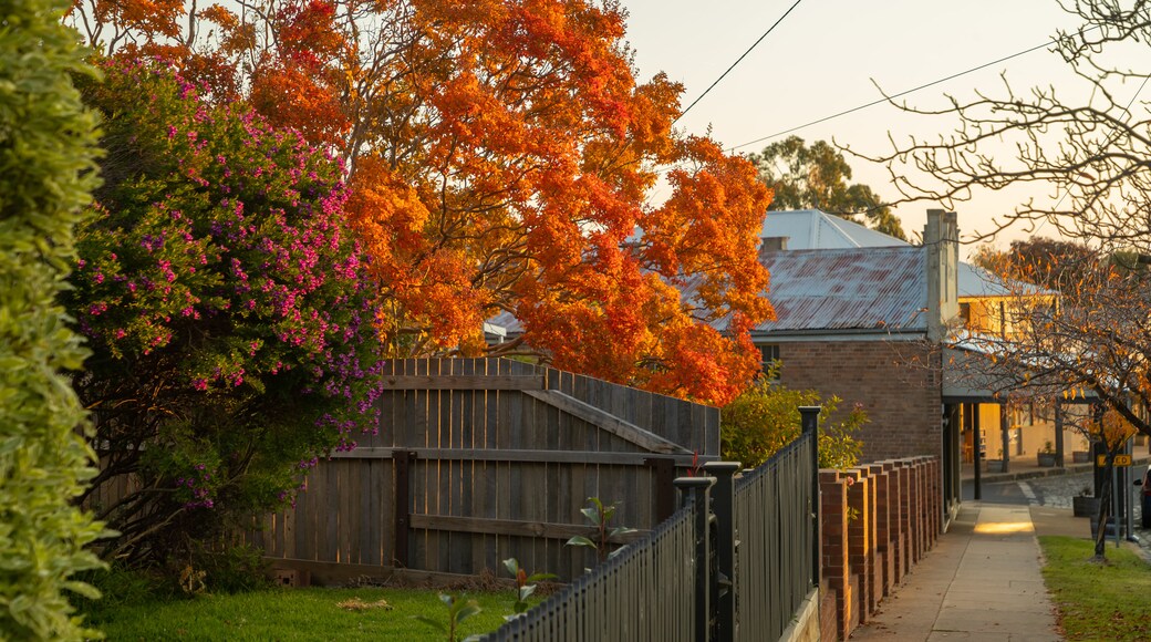 Blayney Shire Council
