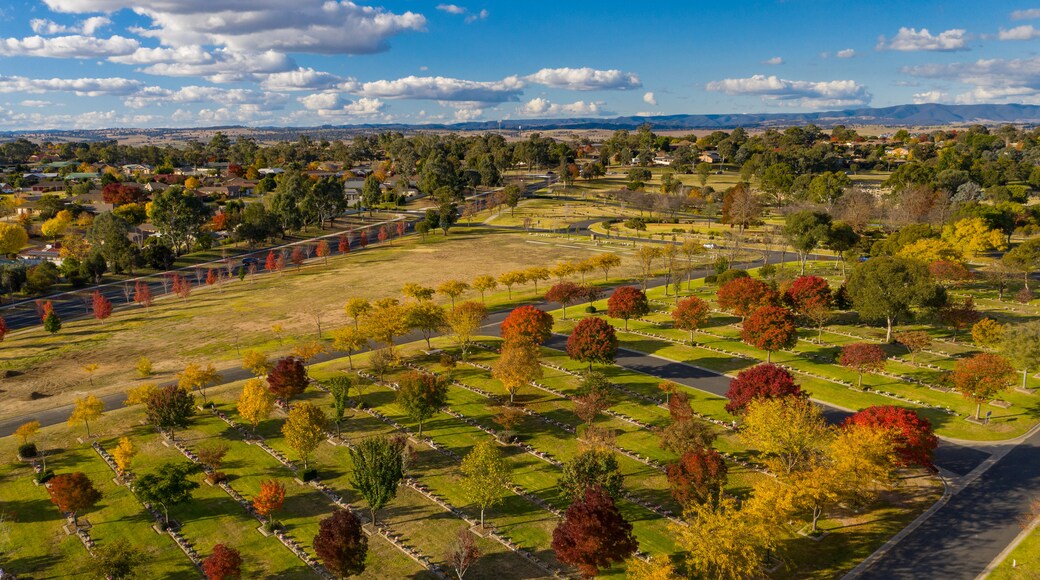 Bathurst showing landscape views and tranquil scenes