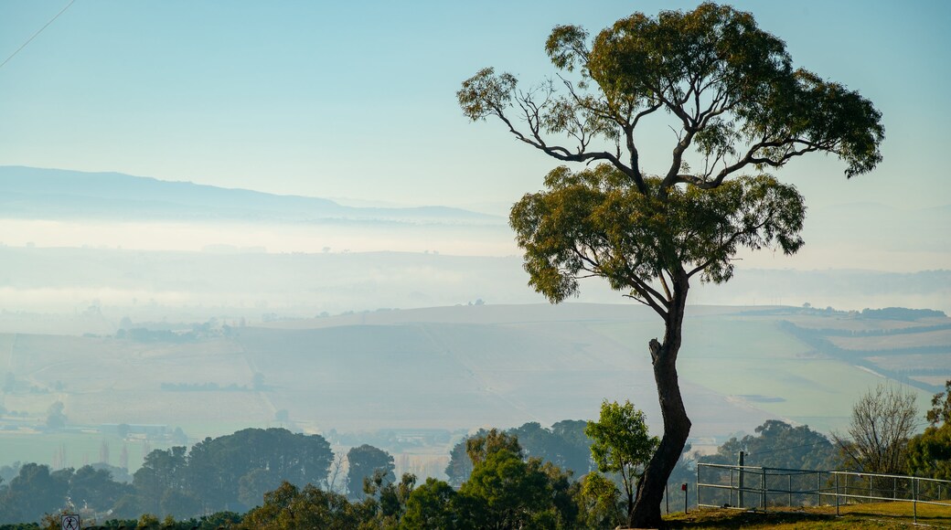 Bathurst Travel Guide Best Of Bathurst New South Wales Travel 2023 bathurst-travel-guide-best-of-bathurst-new-south-wales-travel-2023