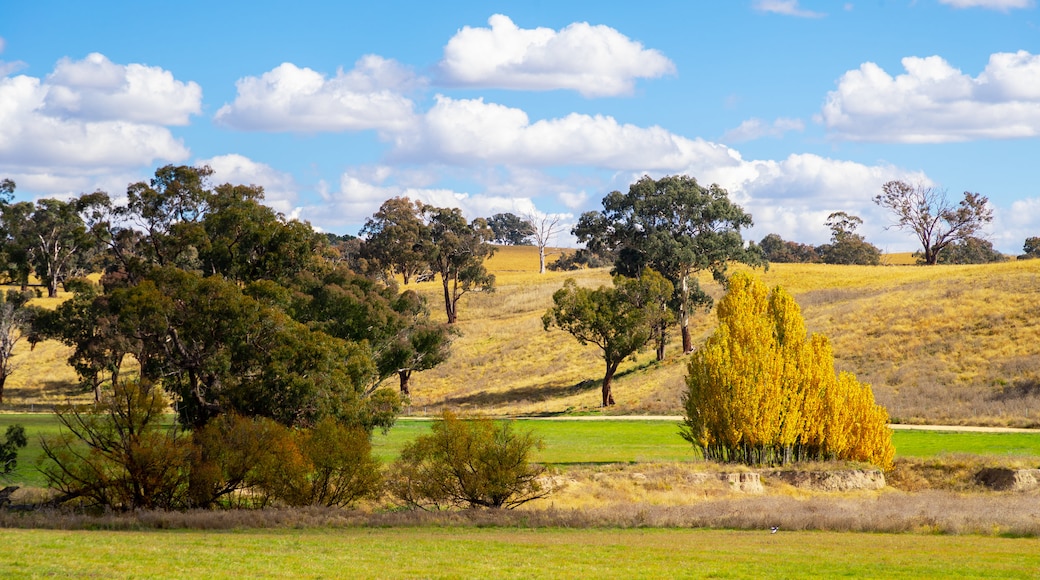 Central Tablelands