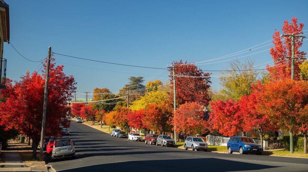 Bathurst CBD