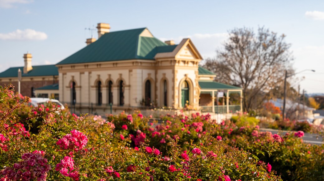Blayney Shire Council