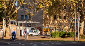 Cologne which includes road cycling as well as a couple