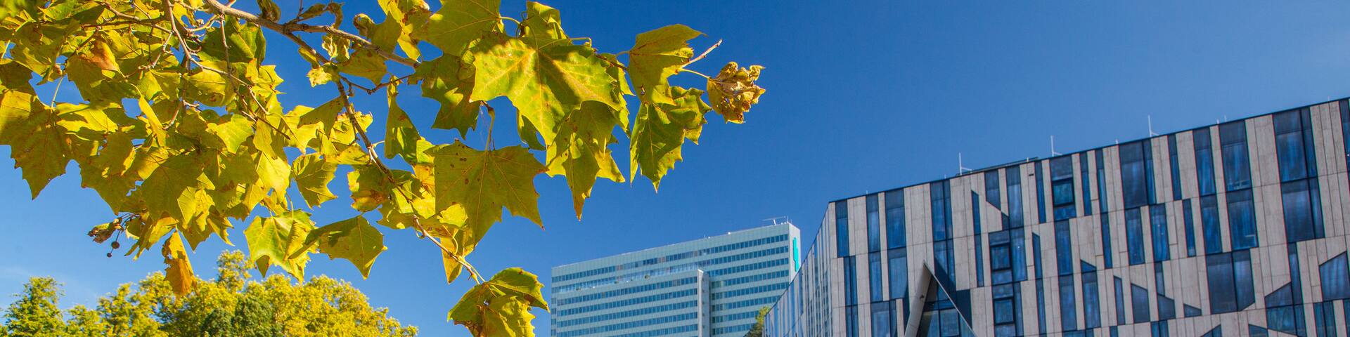 Hofgarten which includes modern architecture and a river or creek