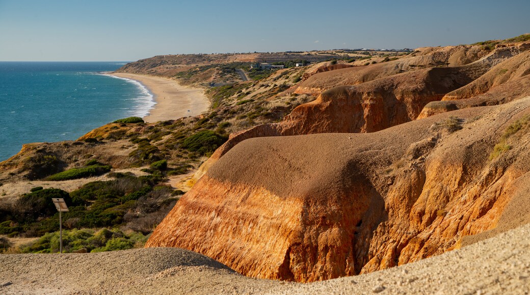 Maslin Beach