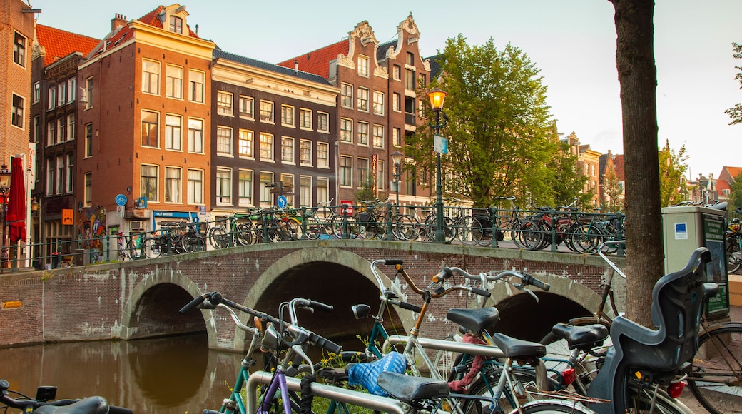 Red Light District showing a city, a river or creek and a bridge