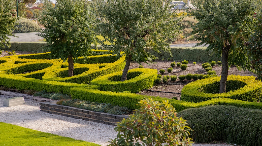 Chateau Tanunda