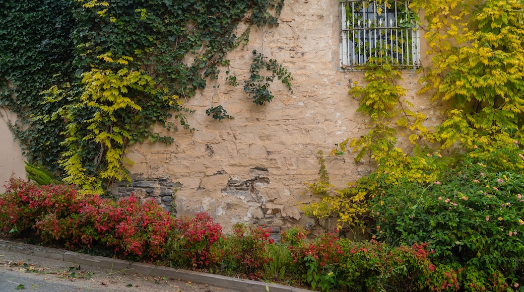 Bodega de vino Chateau Yaldara