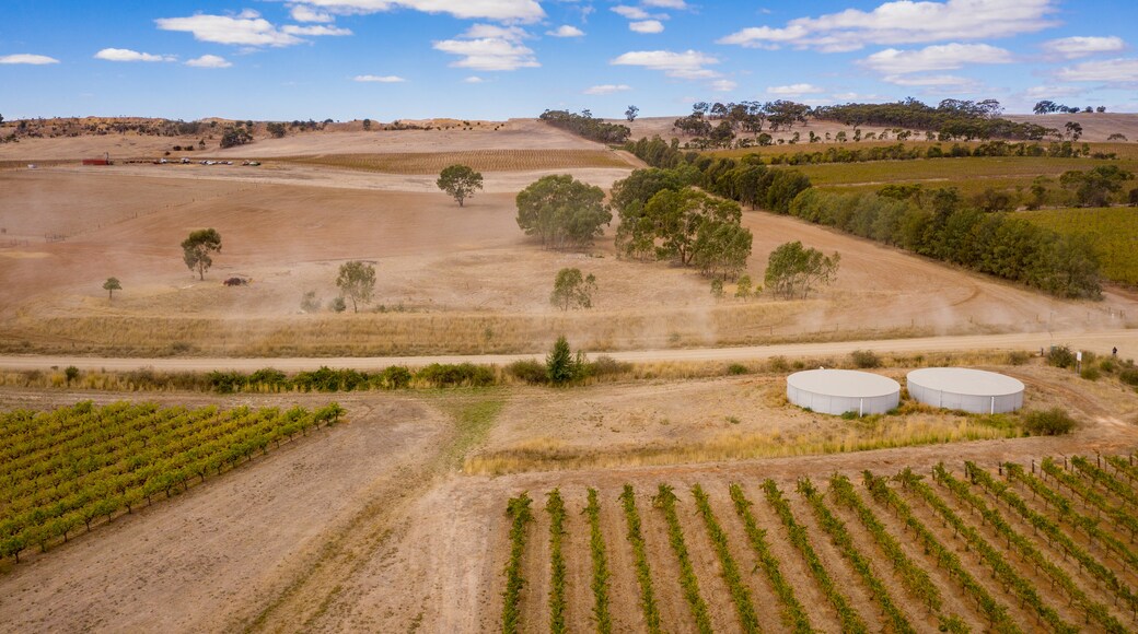 Clare And Gilbert Valleys Council