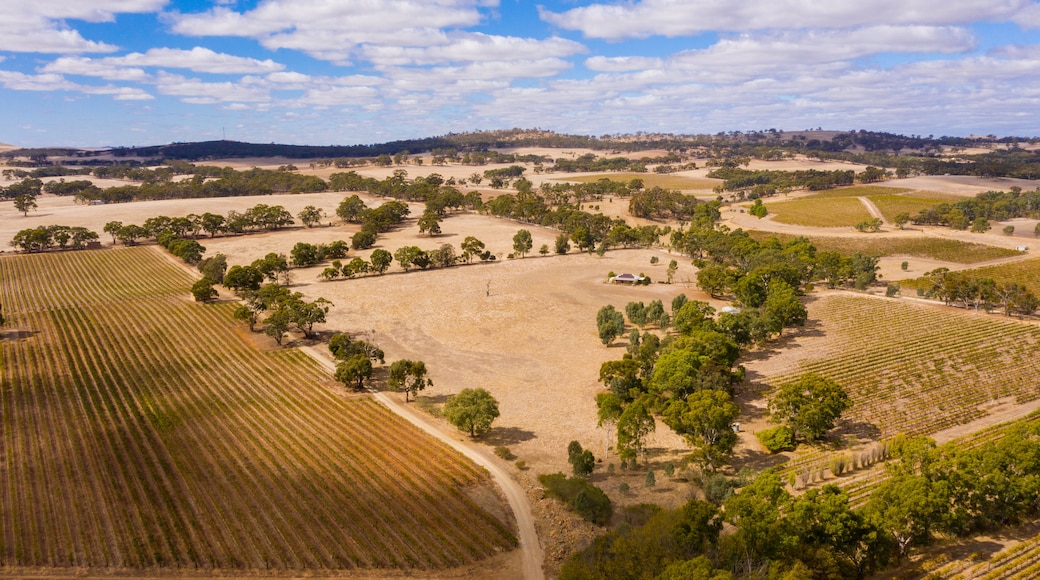 Sevenhill featuring tranquil scenes, landscape views and farmland