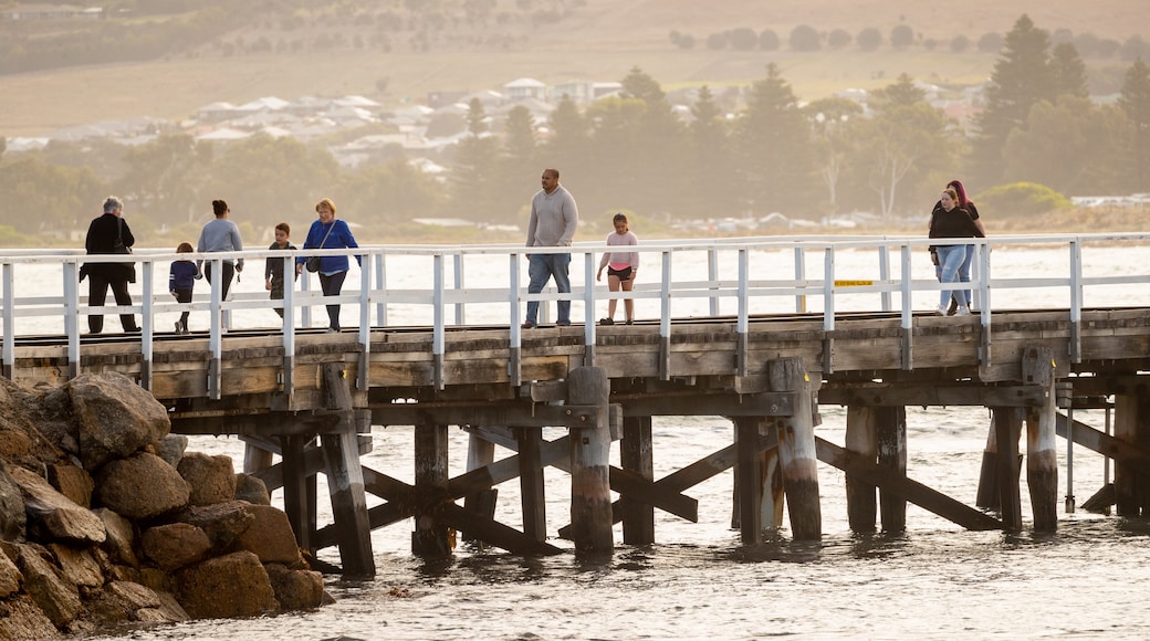 Granite Island showing general coastal views as well as a small group of people