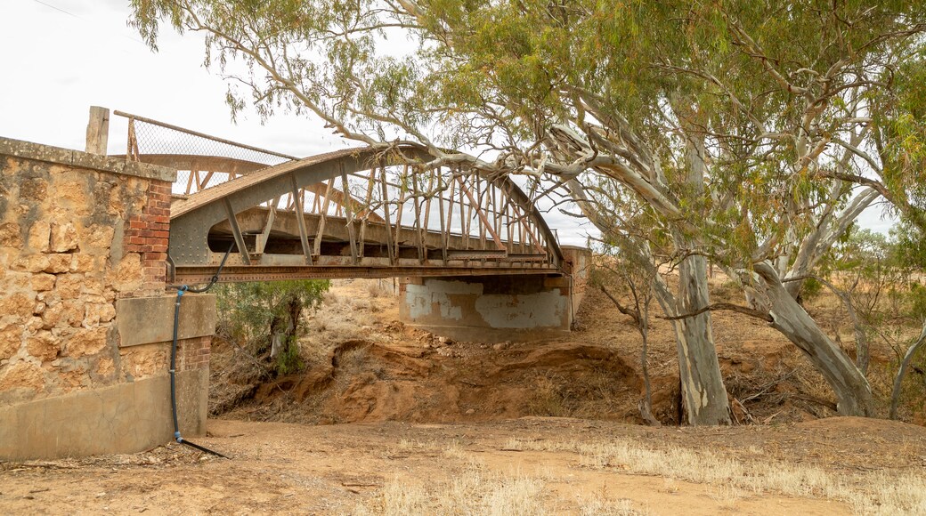 Balaklava showing a bridge