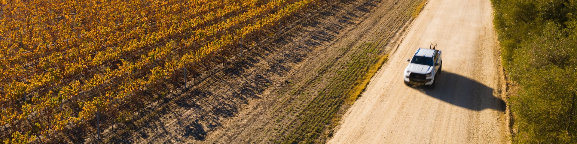 Tanunda featuring farmland, landscape views and 4 wheel driving