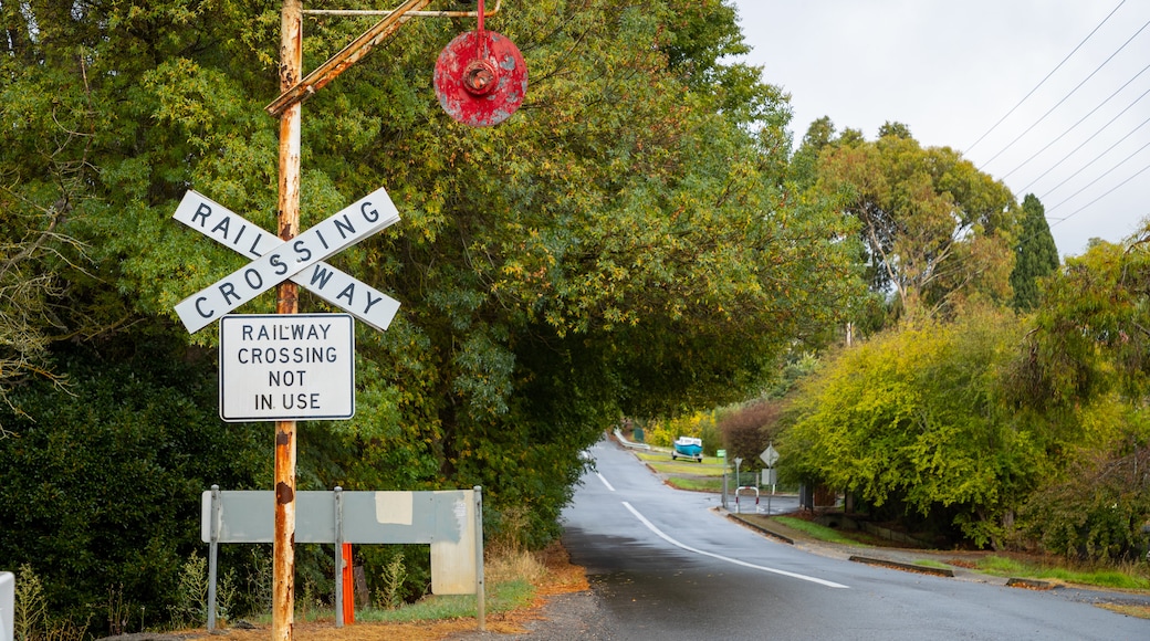 Mount Barker featuring signage