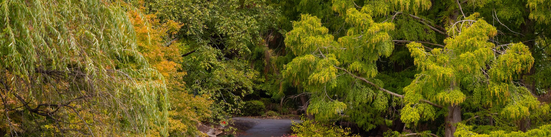 Mount Lofty Botanic Garden which includes a park as well as a couple