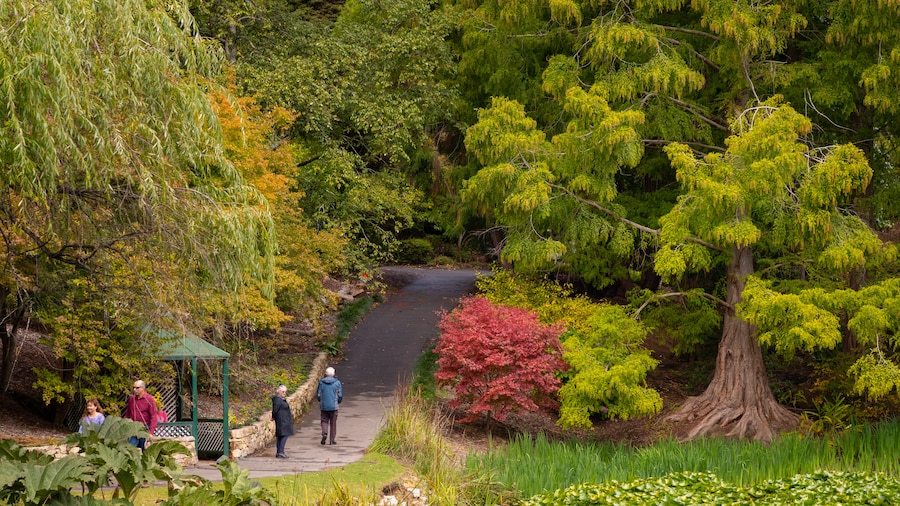 Mount Lofty Botaniske Have