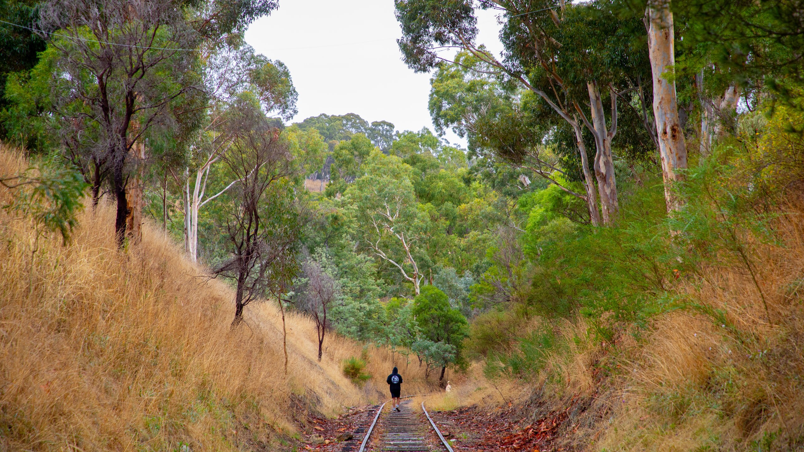 Travel Mount Barker Best of Mount Barker, Visit Adelaide Expedia Tourism