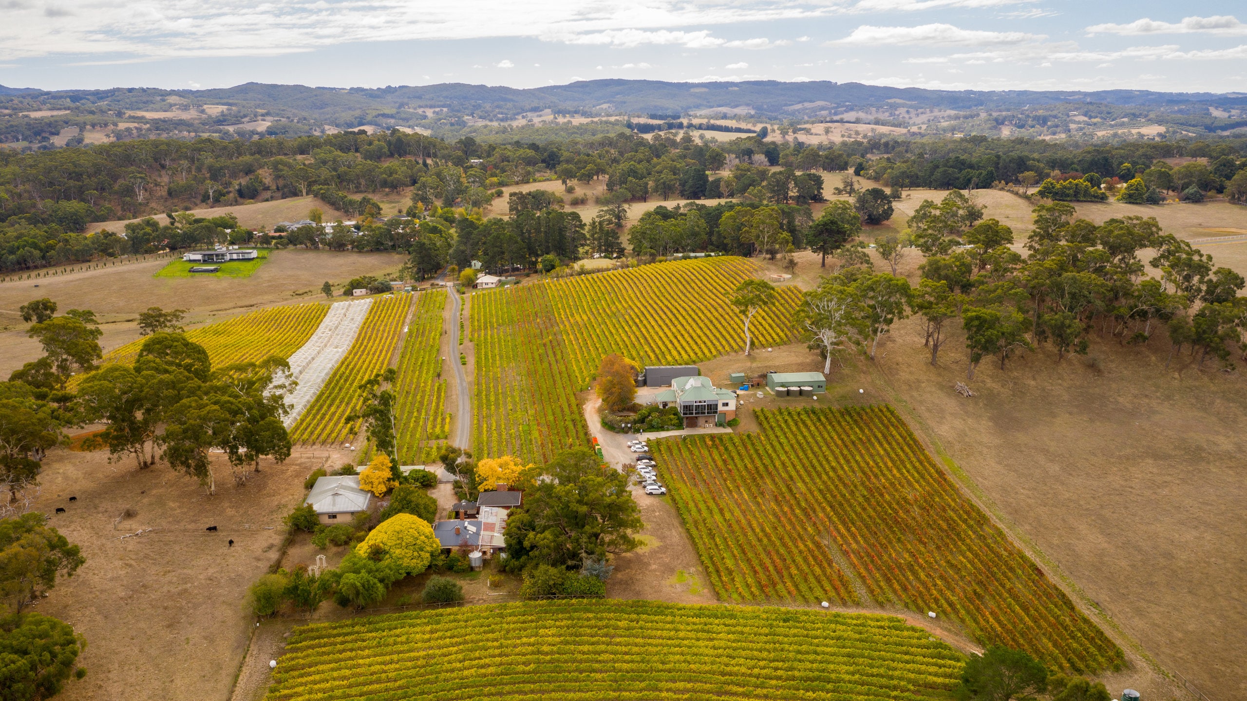 Hahndorf Hill Winery, Hahndorf holiday rentals houses & more Vrbo