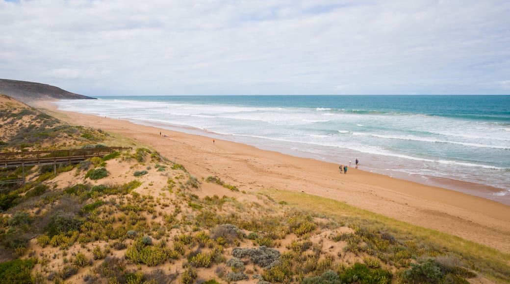 Waitpinga Beach