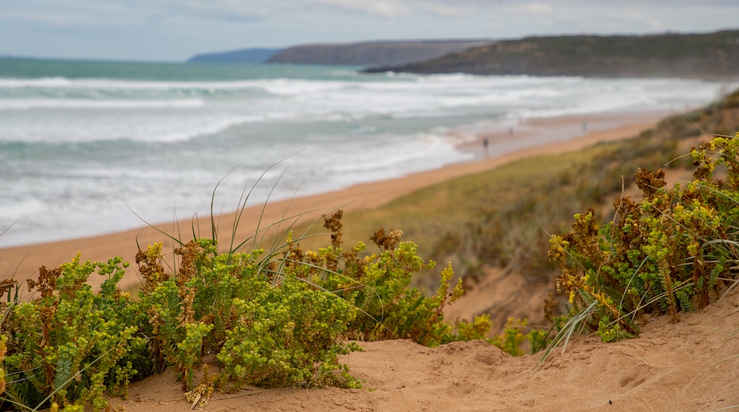 Waitpinga Beach