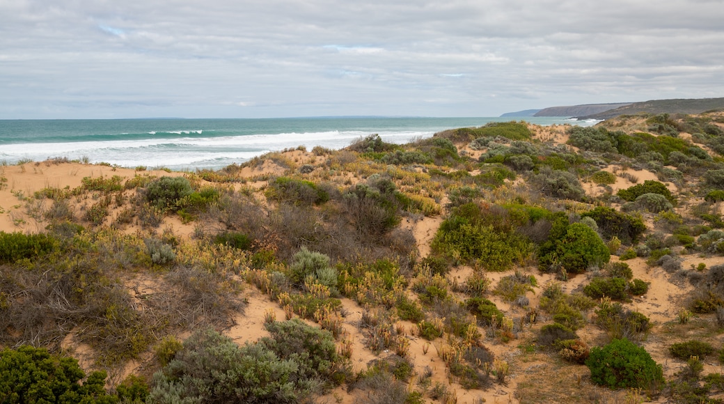 Waitpinga Beach