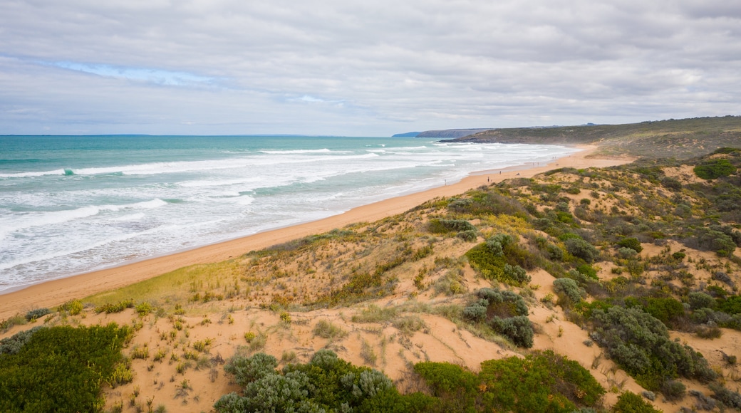 Waitpinga Beach