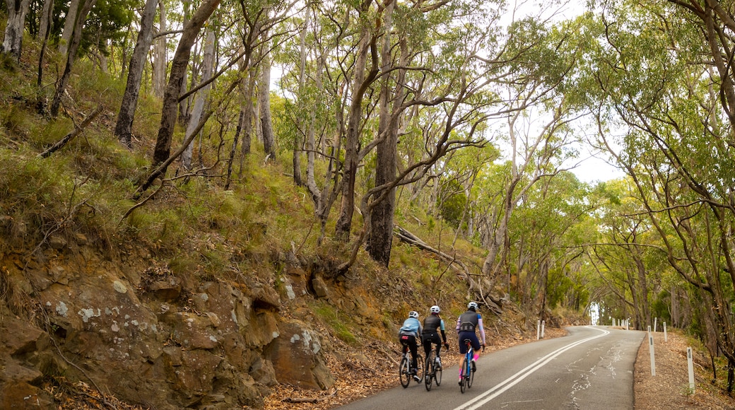 Crafers featuring road cycling and tranquil scenes as well as a small group of people