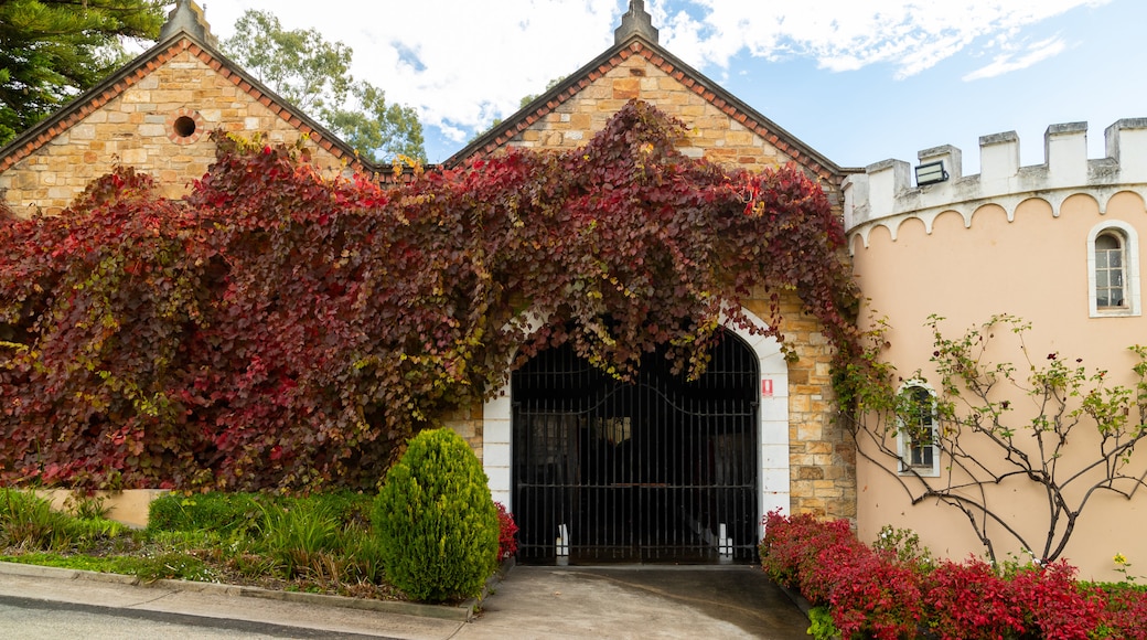 Bodega de vino Chateau Yaldara