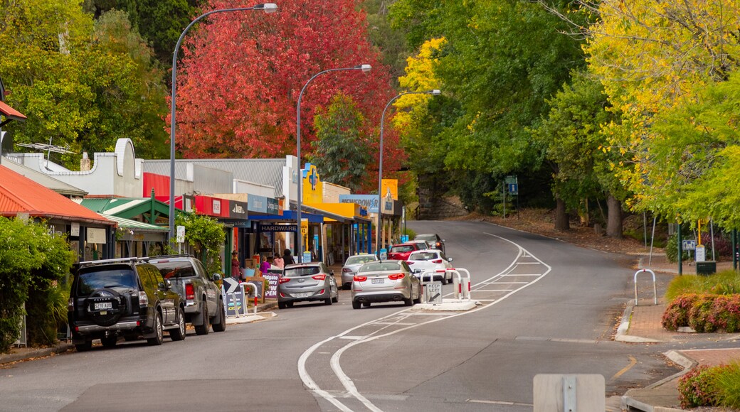 Aldgate featuring a small town or village