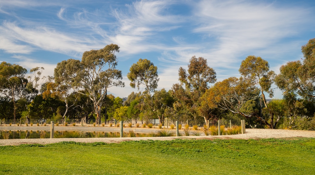 Barossa Valley Chocolate Company