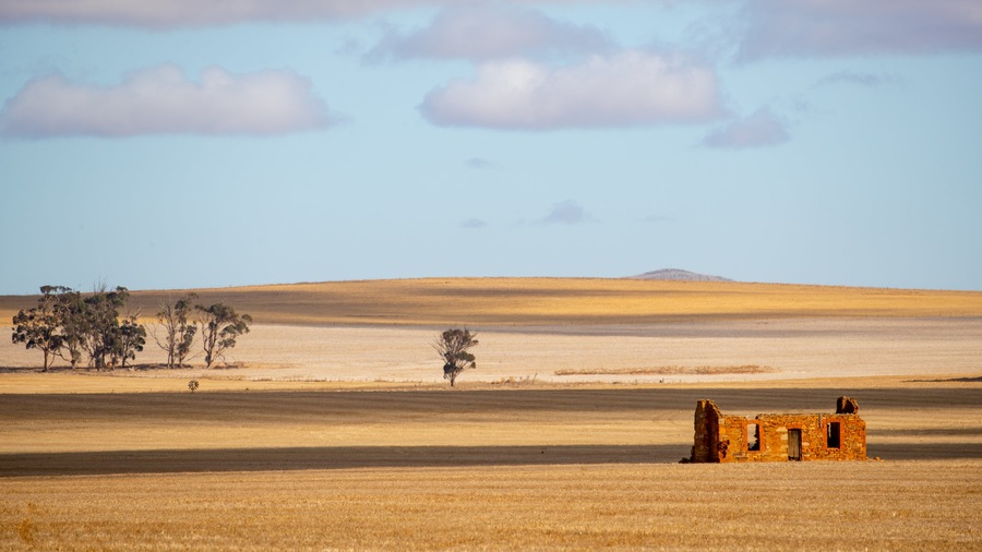 Clare Valley showing tranquil scenes