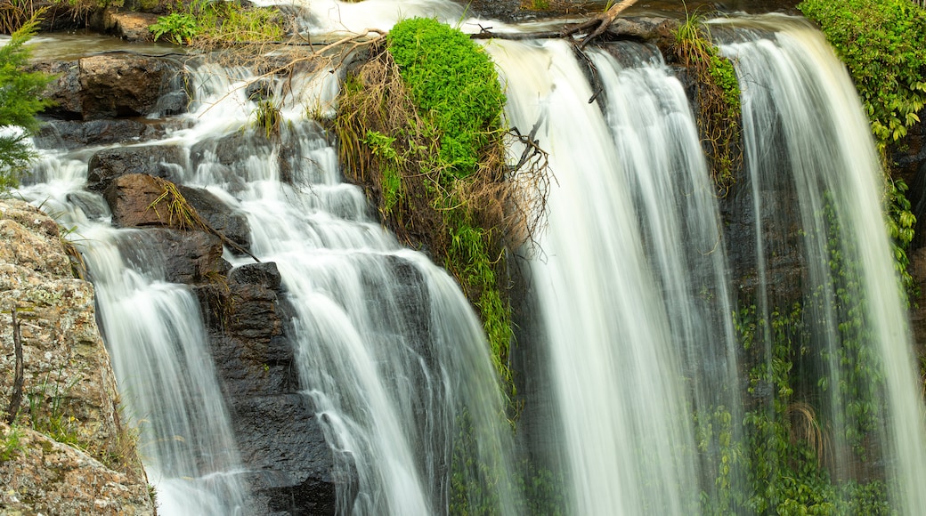 The Falls