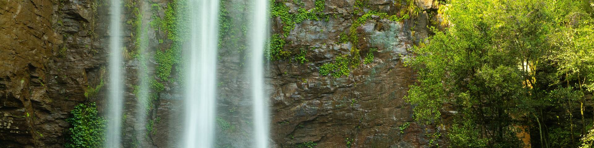 Queen Mary Falls featuring a cascade